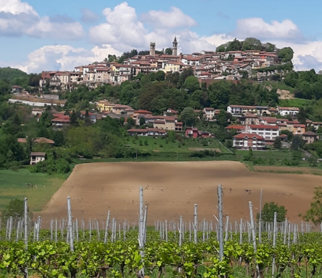Anteprima del programma di Golosaria in. Rosignano e riconoscimento di Citt&agrave; dell'Olio